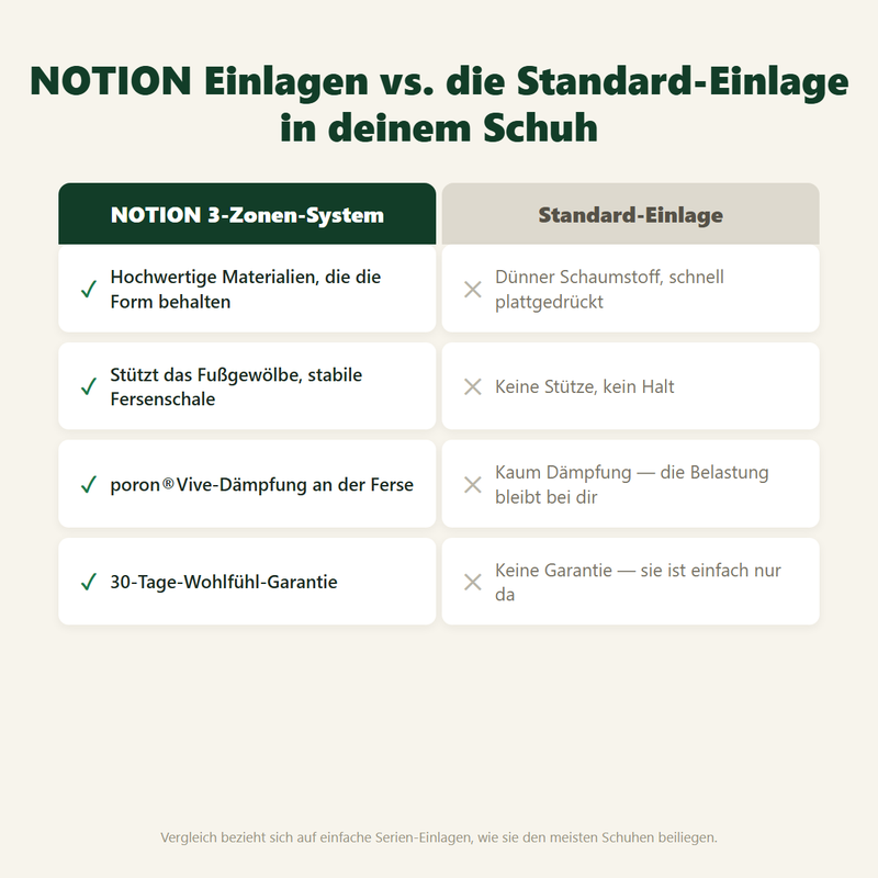 NOTION im Vergleich